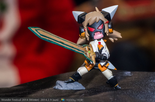wf2014winter_gsproject_19